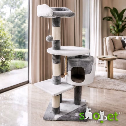 Cat scratching trees