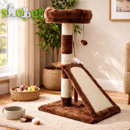 Cat scratching trees