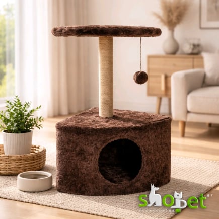 Cat scratching trees