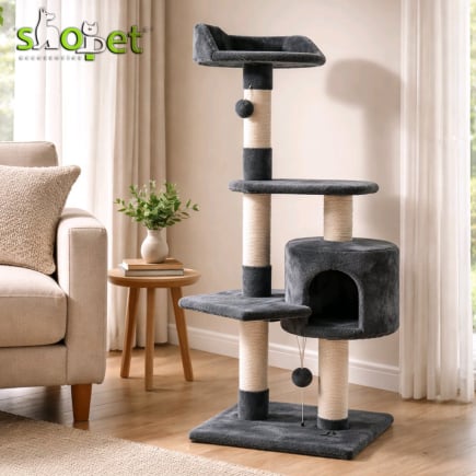 Cat scratching trees