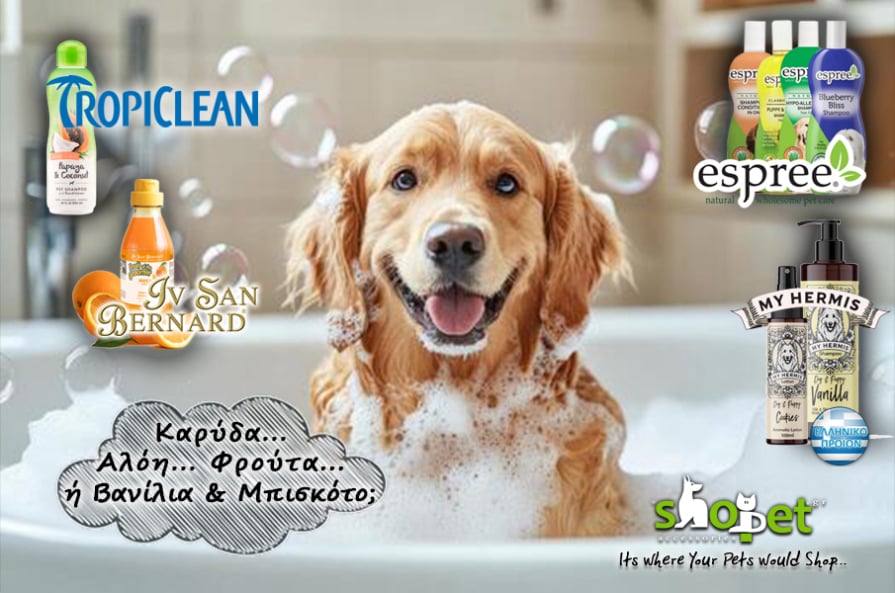 Dog grooming & hygiene