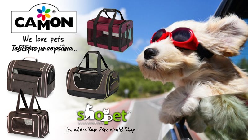 Transportation Pet Carriers